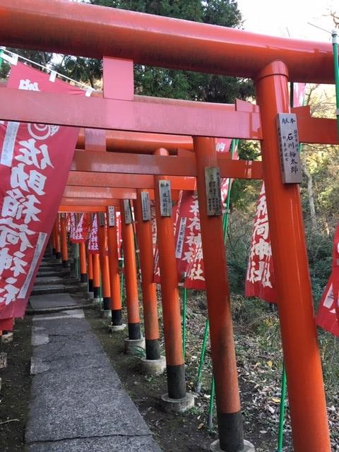 鎌倉一！出世に強い神社「佐助稲荷神社」