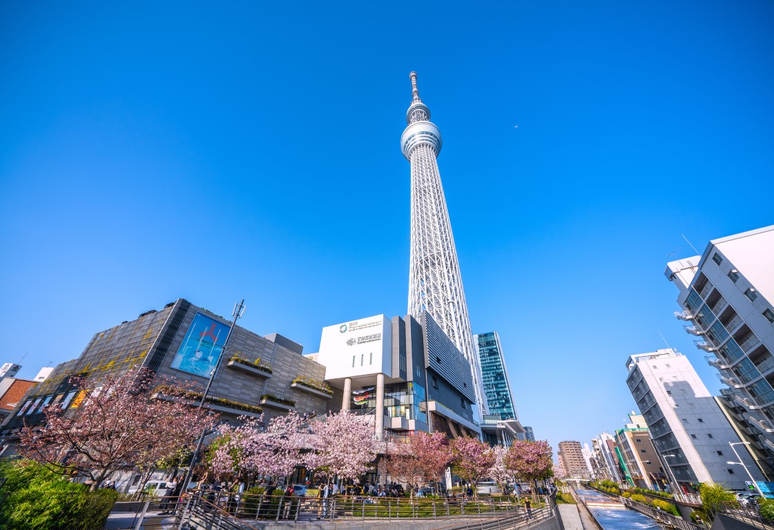 スカイツリーとソラマチ