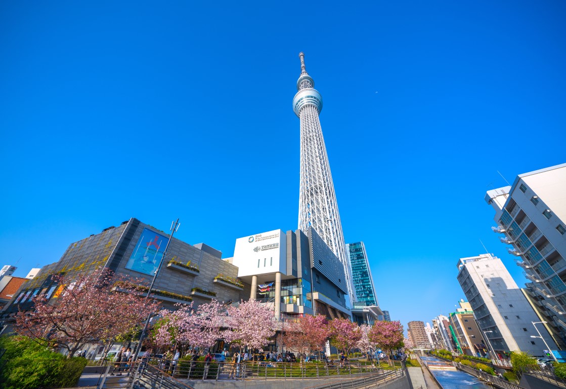 スカイツリーとソラマチ